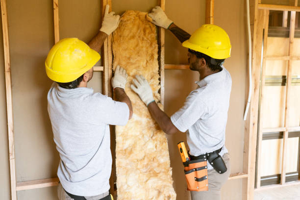 Professional Insulation in Webster City, IA